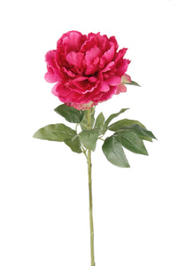 Pivoine artificielle - 1 tige - Fuchsia