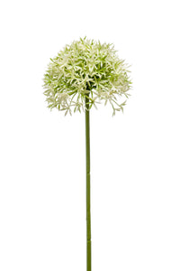 Allium artificial - 1 tallo - crema/verde