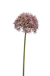 Allium artificiel - 1 tige - Lilas