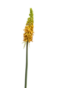 Artificial kniphofia - 1 stem - Yellow