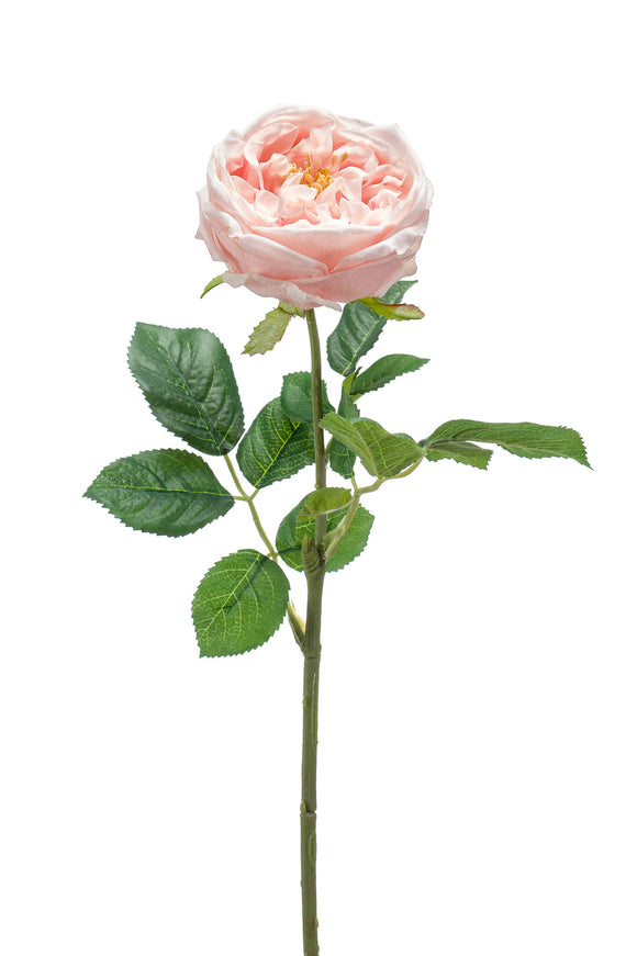 Rose anglaise artificielle - 1 tige - Pink blush