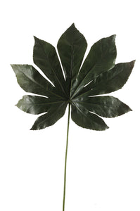 Aralia künstlich - 1 Blatt - Grün